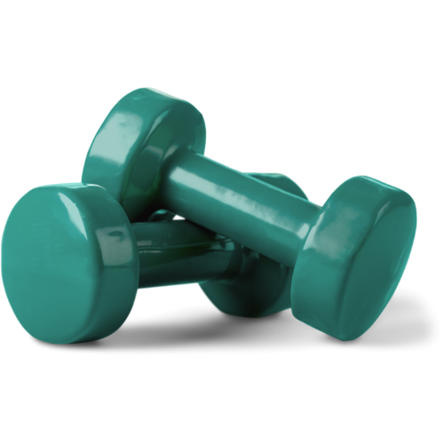 Protocolo de Treinamento